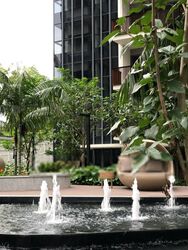 Lakeville (D22), Condominium #570140171